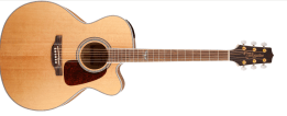 Takamine G70